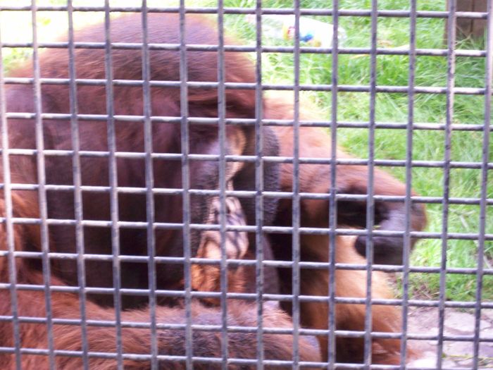 Nutzerbilder Zoo Osnabrück gGmbH