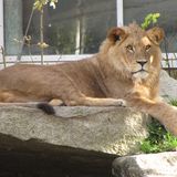 Münchener Tierpark Hellabrunn AG in München