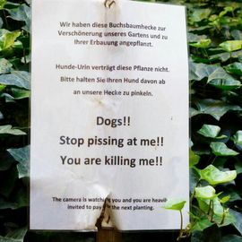 Was die wenigsten wissen: Berliner Hunde können lesen.