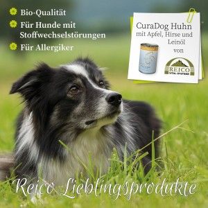 CuraDog Huhn - Alleinfuttermittel mit Apfel, Hirse und Leinöl Bio-Hundevollnahrung mit hohem Fleischanteil Für unsere Bio-Hundevollnahrung verwenden wir ausschließlich Biofleisch von kontrollierten Bio-Zuchtbetrieben mit Schlachtung ab Hof. Alle Rohstoffe stammen aus kontrollierten Biobetrieben. Diese hohe Qualität eignet sich für jeden Hund. Es wird ganz speziell darauf geachtet, dass keine Rohstoffe verwendet werden, die aus unserer Sicht eine allergischeReaktion auslösen könnten. 