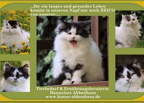 Bild zu Tierbedarf & Ernährungsberatung Hannelore Abbenhaus