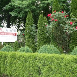 Biergarten