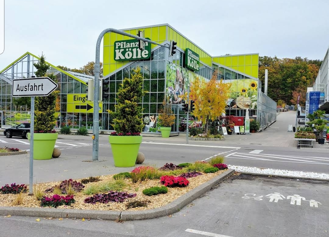 Bild 2 Pflanzen Kölle Gartencenter GmbH & Co. KG in Stuttgart