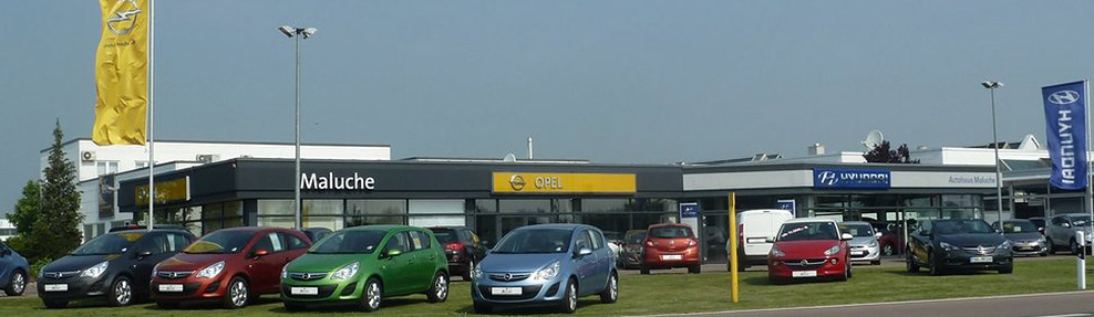 Bild 2 Autohaus Maluche GmbH in Torgau