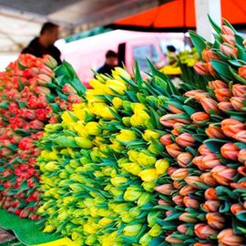 Wochenmarkt Klettenberg - Köln