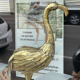 Schaufenster schön gestaltet 