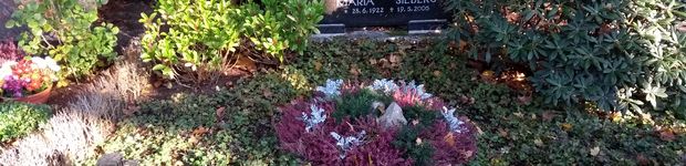 Bild zu König's Blumen Friedhofsgartenbau