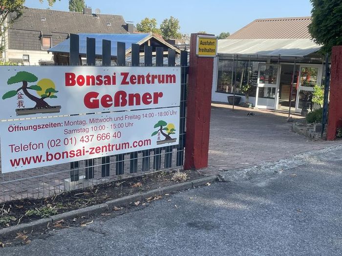 Bonsai Zentrum Wilfried Geßner