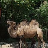 Zoo Lehnig Inh. Waldemar Bär in Braunschweig