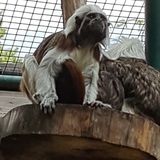 Zoo Lehnig Inh. Waldemar Bär in Braunschweig