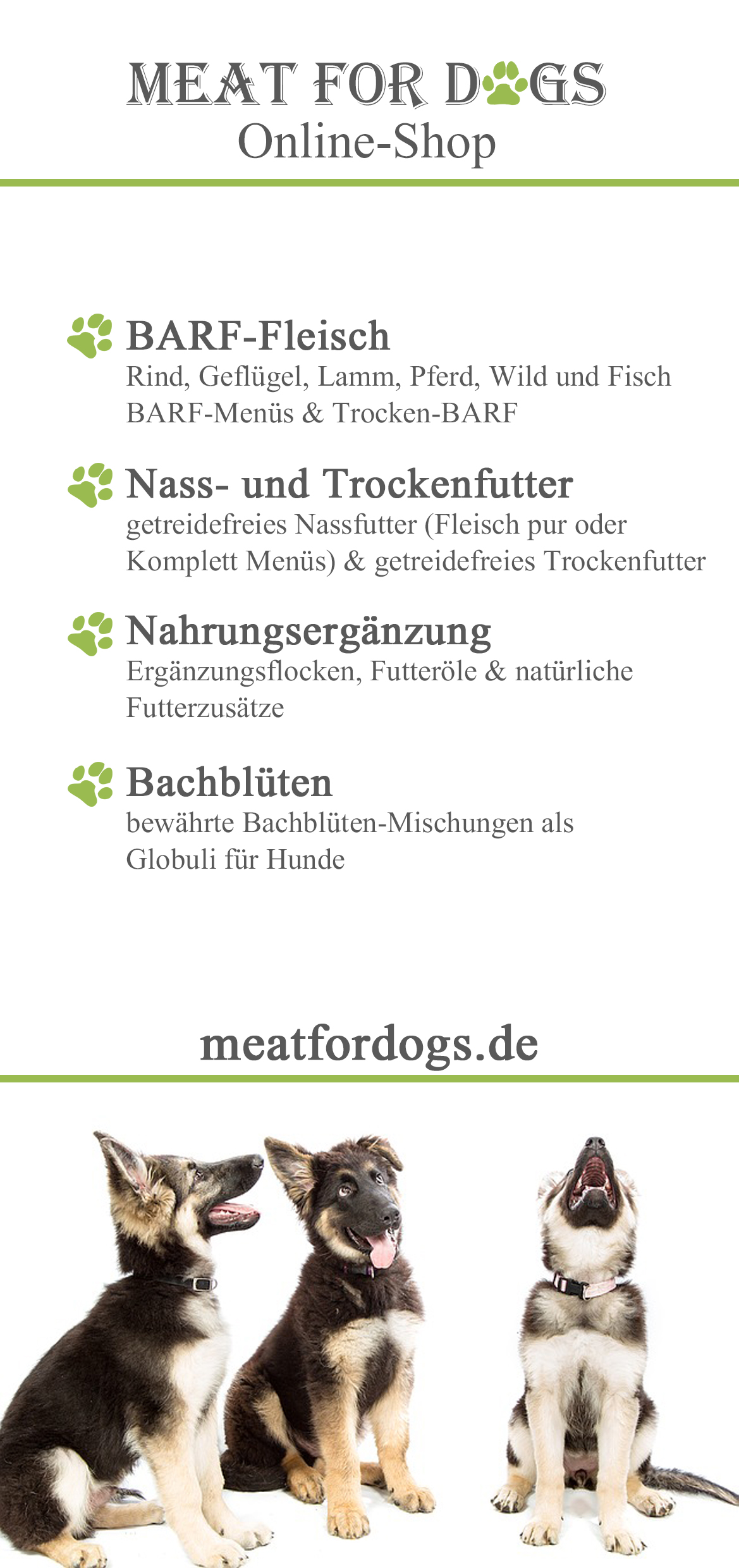 Bild 4 Meat for Dogs in Böbs