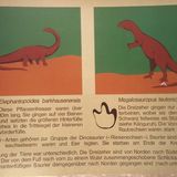 Dinosaurierpark Münchehagen in Münchehagen Stadt Rehburg-Loccum