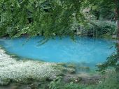 Nutzerbilder Blautopfhaus Schönhofer