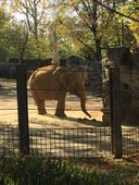 Nutzerbilder Zoo Osnabrück gGmbH