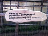 Nutzerbilder Zoo-Garten-Edelsteincenter Vida, Inh. Josef Vida