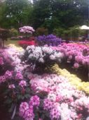 Nutzerbilder Rhododendronpark Hobbie