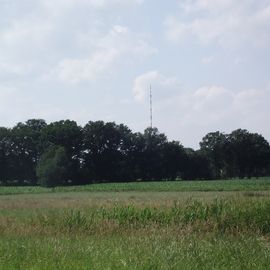 Der Heidenwall im Sommer 2012 - den NDR Sender Steinkimmen kann man von hier aus sehen.