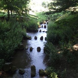 Fischtreppe am Gut Varrel - so kommen die Fische aus der Nordsee über die Weser, Ochtum, Varreler Bäke zum Klosterbach bis nach Bassum