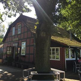 Hammehütte Neu-Helgoland in Worpswede