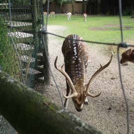 Arche-Park Petermoor Bassum in Bassum