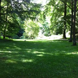 Frühlingsende im Knoops Park, heute ist der längste Tag des Jahres, macht was draus!