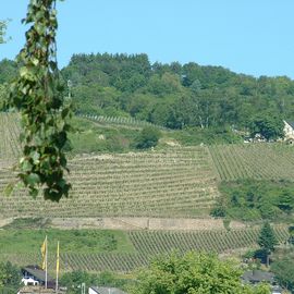 Blick zum Günderodehaus