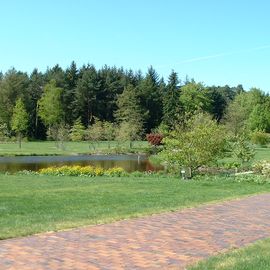 BRUNS Rhododendron Park in Gristede