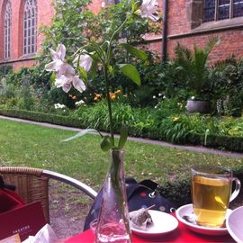 Blick in den Bibelgarten zwischen Glocke und Dom