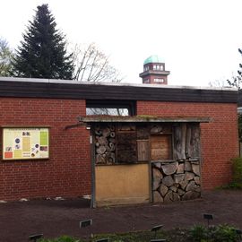 Botanischer Garten der Carl von Ossietzky Universität Oldenburg in Oldenburg in Oldenburg