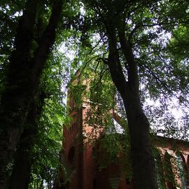 Evangelische Kirche, Gemeinde Alt-Aumund in Bremen Nord von hohen Bäumen umringt
