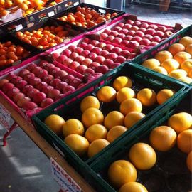 Wochenmarkt am Sedanplatz in Vegesack in Bremen