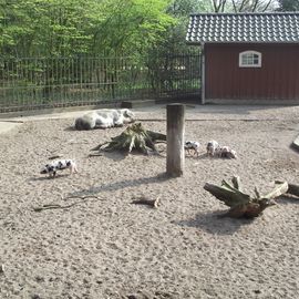 Tiergehege vom Bremer Bürgerpark