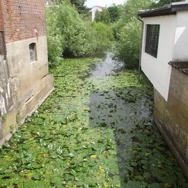 &quot;Dat Wüllker Hus&quot; rechts neben dem Tuchmacher Museum