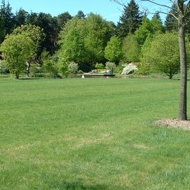 BRUNS Rhododendron Park in Gristede 