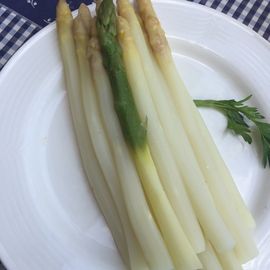 Reelle Portion Spargel 