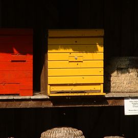 bunte Bienenstöcke beim NIZ in Goldenstedt