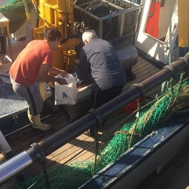 Fischereibetrieb Rene Schmidt in Wurster Nordseeküste
