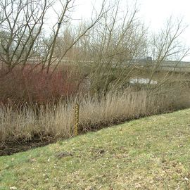 Die W&uuml;mmebr&uuml;cke an der Nordseite vom Flu&szlig; das Lokal