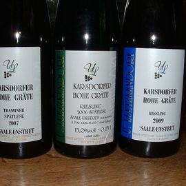 Weinprobe am Kamin Weingut Uwe L&uuml;tzkendorf Bad K&ouml;sen Saale Unstrut
Karsdorfer Hohe Gr&auml;te Traminer und Riesling
