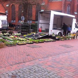 Wochenmarkt in der Altstadt in Buxtehude