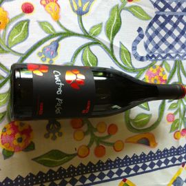 CUATRO PASOS
2008 Bierzo DO zur Zeit auch bei Aldi Süd im Angebot
0,75-l-Flasche 5,99 € - Tip einer Pilgerin! Grüße auch an die Anwälte von Jack Wolfskin *gg*