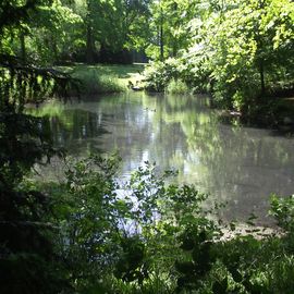 Blick auf den oberen Teich im Park