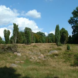 Undeloher Hof in Undeloh