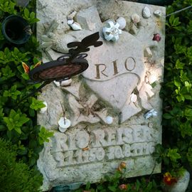 Unvergessen auch Rio Reiser liegt auf dem Alter St. Matthäus Kirchhof