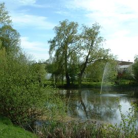 Teich vor dem Gutshaus Stellshagen