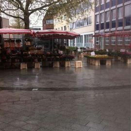 Wochenmarkt am Sedanplatz in Vegesack in Bremen