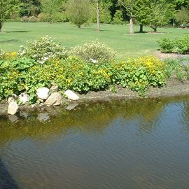 BRUNS Rhododendron Park in Gristede