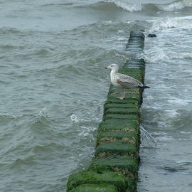 Westerland auf Sylt