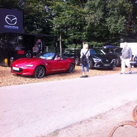 Asbree-Automobile auf dem Stoppelmarkt 2016