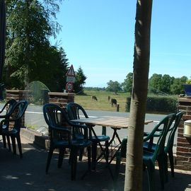 Gaststätte zur Krone in Oberhausen/Hude Blick vom Biergarten über die Straße zu den Kühen